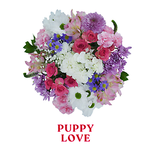 WRAP: TRUE PUPPY LOVE Bunch For Your Vase