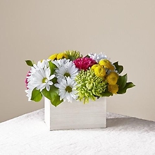 CGA: Sorbet Box Bouquet