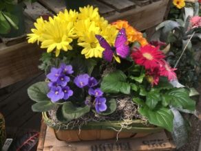 French Garden: Blooming Garden Basket