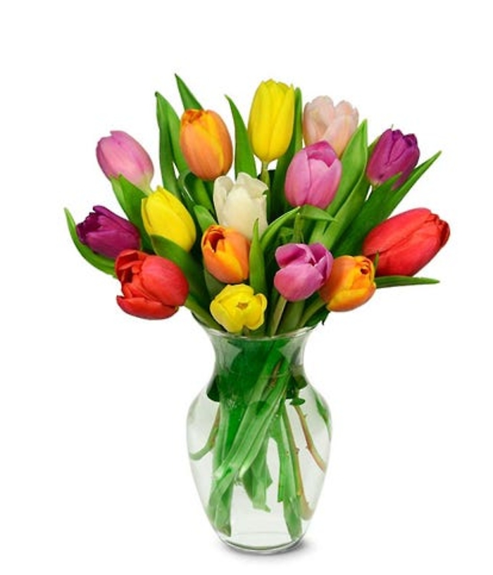 FF-TULIPVS :Vase of Lovely Tulips