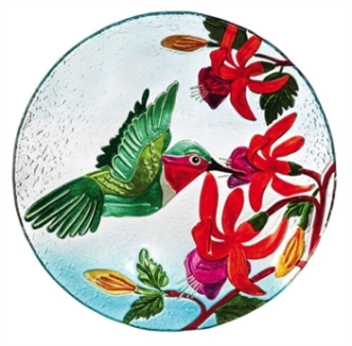 Birdbath: 2GB570 Hummingbird Flutter