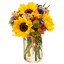 V7220  sunflowers in a vase