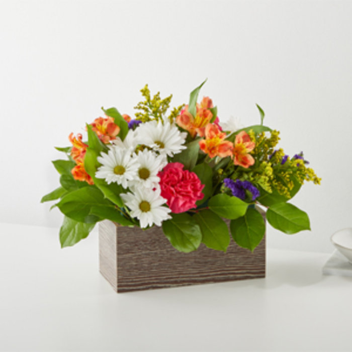CJA: Oopsie Daisy Box Bouquet