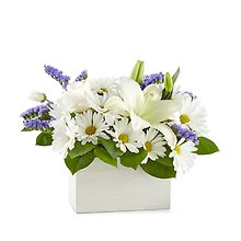 CNB: Beyond Blue Box Bouquet