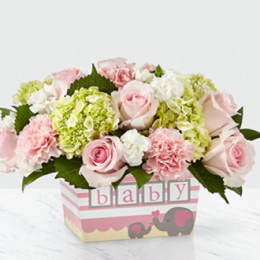 Baby: Darling Baby Girl Bouquet