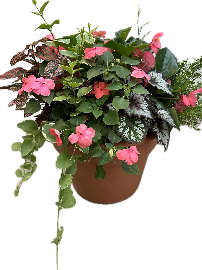 14\"   **PREMIUM** Patio Planter- Shaded area