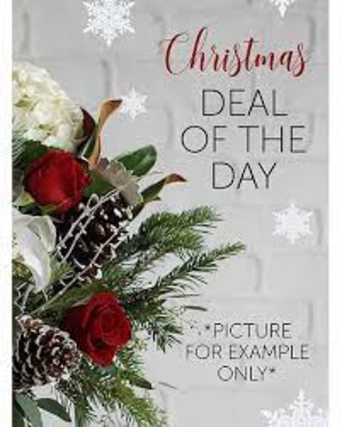 PREMIUM CHRISTMAS VASE Deal of the Day