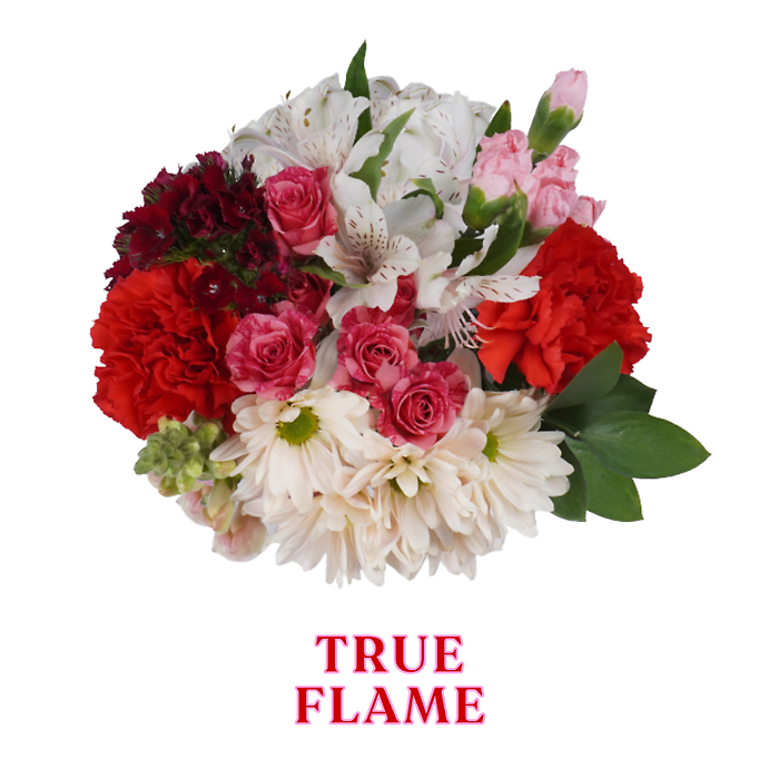WRAP: SWEET LOVE FLAME BUNCH for your vase