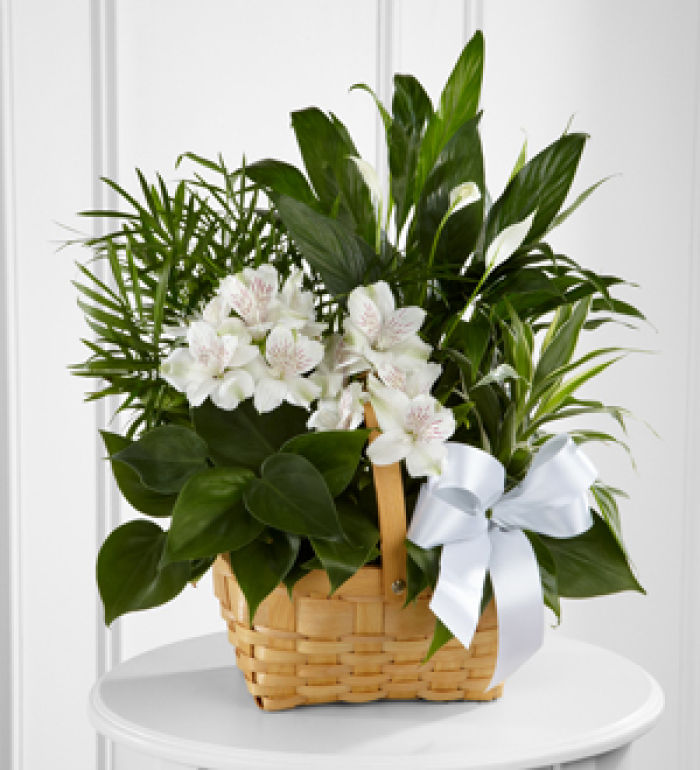 Planter: Peace & Serenity Planter Basket, white accents