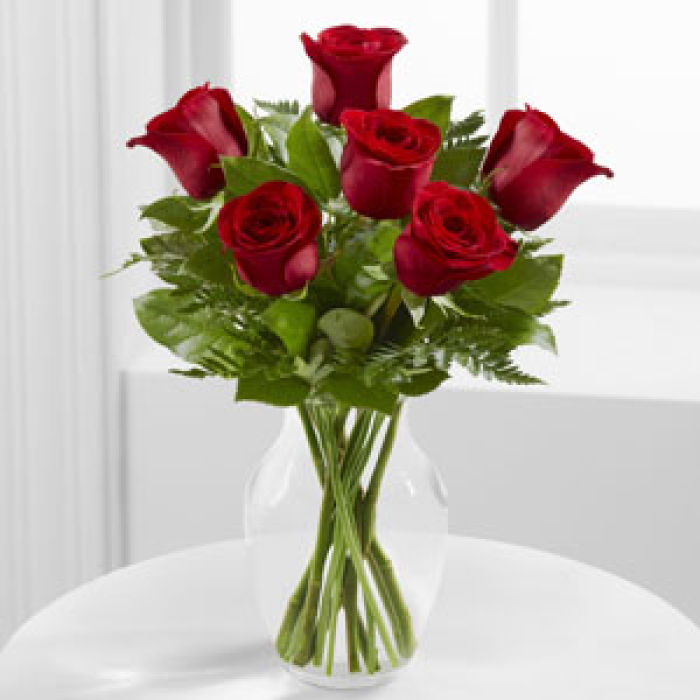Rose: Simply Enchanting-Red Roses