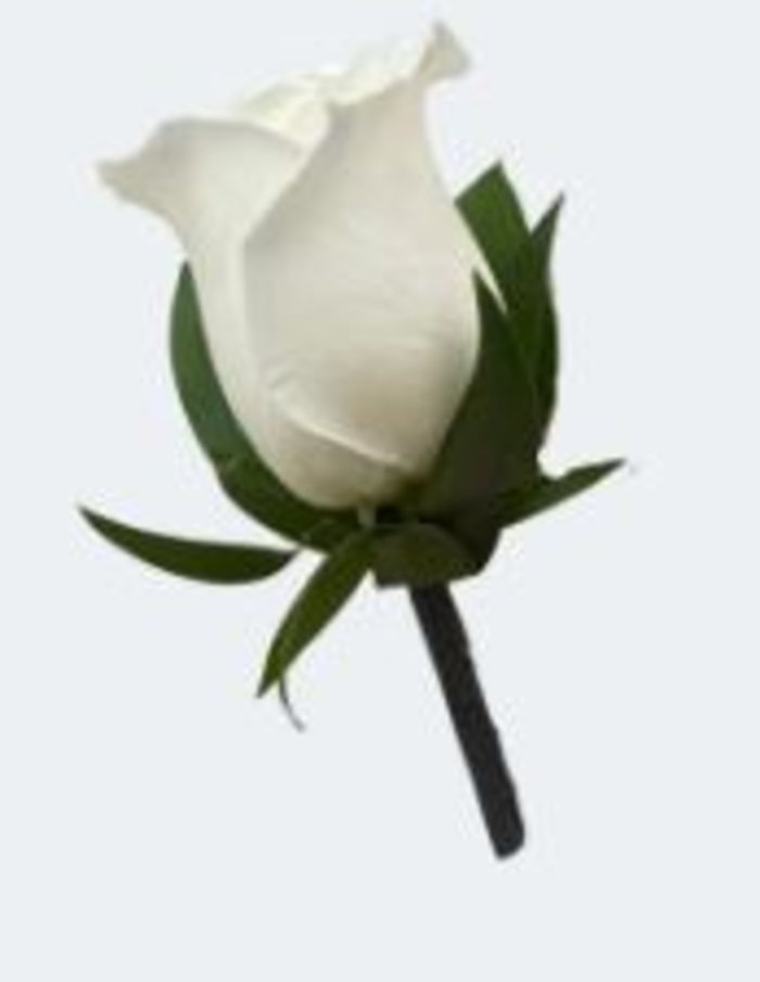 Bout: White Rose Boutonniere