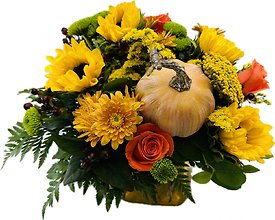 Sunflowers & Autumn Breezes