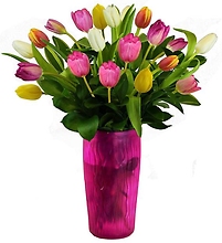 Vase of Lovely Tulips