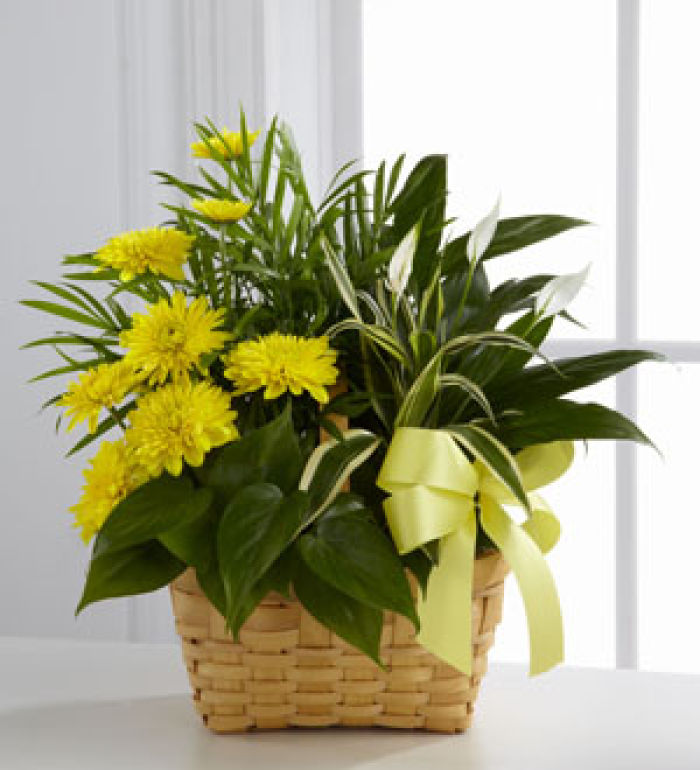 Planter: Loving Light Planter basket, yellow accents