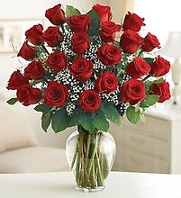 R25RED  25 RED ROSES IN VASE WITH B.B.