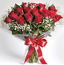 Wrapped 25 red roses