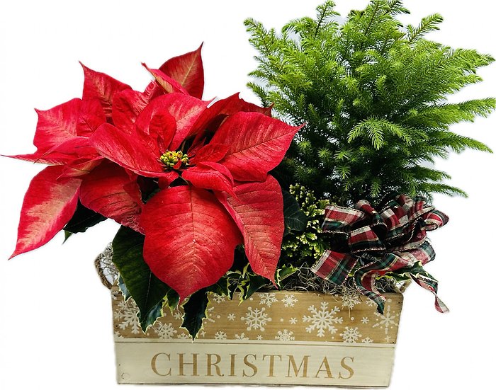 Christmas Garden Box
