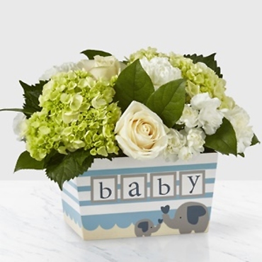 Baby: BB2 Darling Baby Boy bouquet