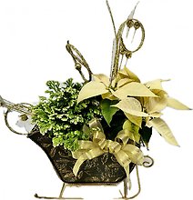 Golden Sleigh Planter