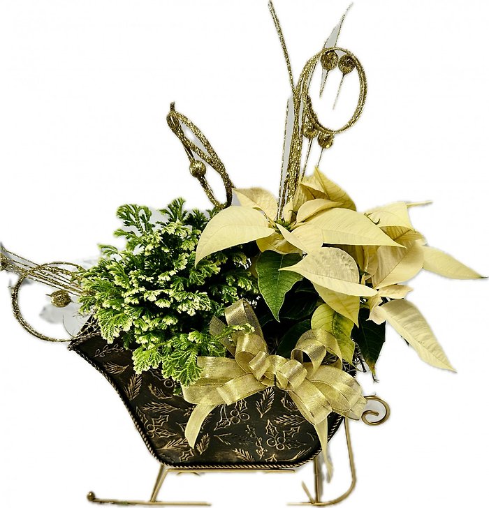 Golden Sleigh Planter