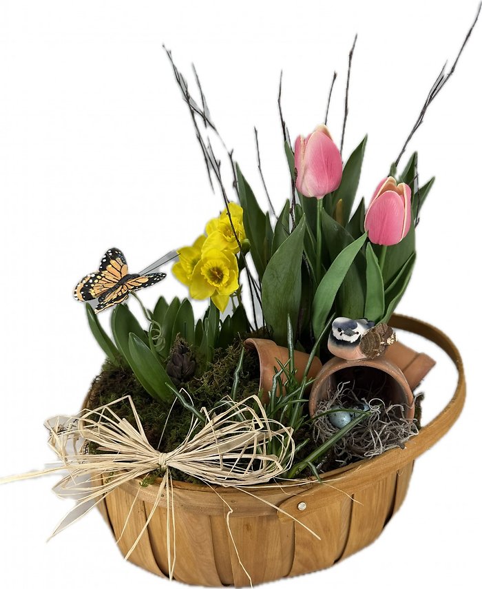 Spring Bulbs Bird & Butterfly Garden